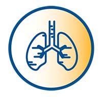 Icon of lungs