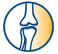 Icon with two bones no joint