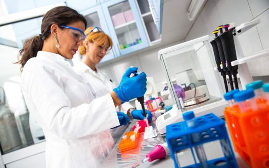 supplement news article